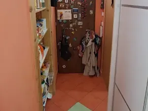 Prodej bytu 3+1, Brno, Meluzínova, 55 m2
