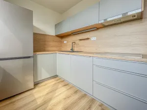Pronájem bytu 1+1, Rakovník - Rakovník II, Družstevní, 37 m2