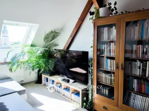 Prodej bytu 5+kk, Znojmo, Rooseveltova, 150 m2