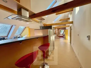 Pronájem bytu 3+kk, Velké Opatovice, Sokolská, 195 m2