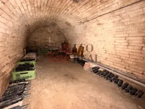 Prodej vinného sklepa, Týnec, Sportovní, 55 m2