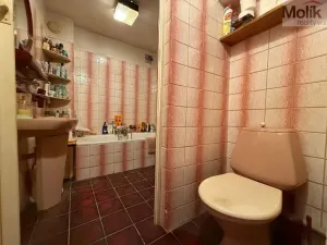 Prodej rodinného domu, Bílina - Pražské Předměstí, Fügnerova, 153 m2
