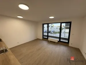 Pronájem bytu 1+kk, Plzeň, Železná, 40 m2