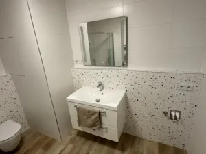 Pronájem bytu 1+kk, Plzeň, Železná, 40 m2