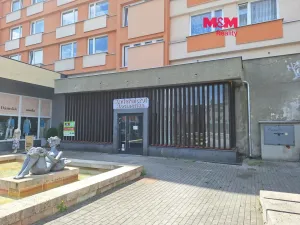 Prodej obchodního prostoru, Chomutov, Palackého, 159 m2