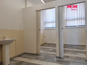 Prodej obchodního prostoru, Chomutov, Palackého, 159 m2