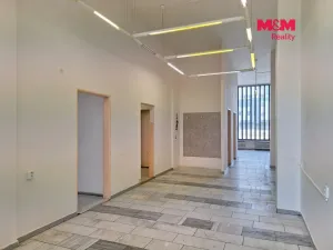 Prodej obchodního prostoru, Chomutov, Palackého, 159 m2