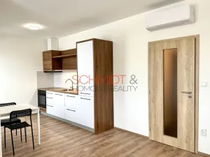 Pronájem bytu 1+kk, Hustopeče, Alejní, 30 m2
