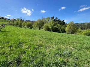 Prodej komerčního pozemku, Blansko - Klepačov, 10598 m2