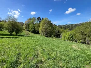 Prodej komerčního pozemku, Blansko - Klepačov, 10598 m2
