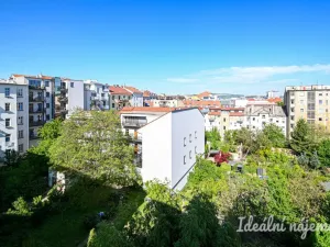 Pronájem bytu 2+1, Brno, Čápkova, 67 m2