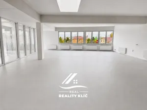 Pronájem obchodního prostoru, Hlučín, Cihelní, 167 m2