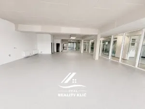 Pronájem obchodního prostoru, Hlučín, Cihelní, 167 m2