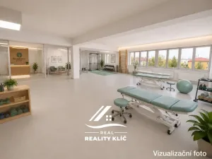 Pronájem obchodního prostoru, Hlučín, Cihelní, 167 m2