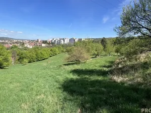 Prodej pozemku pro bydlení, Blansko - Klepačov, 14210 m2