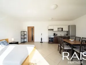 Prodej bytu 1+kk, Brno, Vranovská, 38 m2