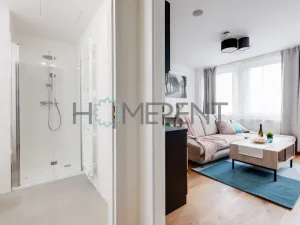 Pronájem bytu 1+kk, Praha - Vinohrady, Perucká, 26 m2