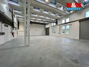 Pronájem výrobních prostor, Město Albrechtice, L. Janáčka, 410 m2