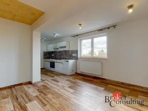 Pronájem bytu 3+1, 95 m2