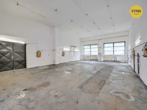 Pronájem výrobních prostor, Pardubice, S. K. Neumanna, 165 m2