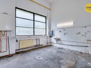 Pronájem výrobních prostor, Pardubice, S. K. Neumanna, 165 m2