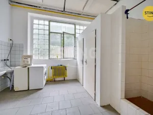 Pronájem výrobních prostor, Pardubice, S. K. Neumanna, 165 m2