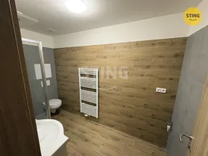Pronájem bytu 1+kk, Prostějov, Žižkovo nám., 30 m2