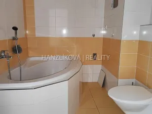 Pronájem bytu 2+kk, České Budějovice - České Budějovice 3, Klavíkova, 51 m2