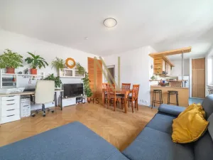 Pronájem bytu 2+1, Plzeň - Jižní Předměstí, Máchova, 57 m2