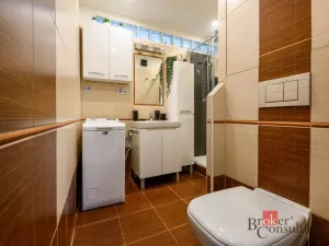 Prodej bytu 2+1, Plzeň - Bolevec, Komenského, 60 m2
