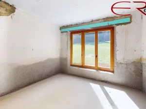 Prodej rodinného domu, Pěnčín - Alšovice, 394 m2