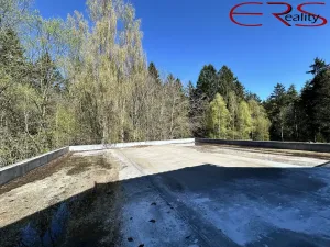 Prodej rodinného domu, Pěnčín - Alšovice, 394 m2