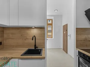 Pronájem bytu 1+kk, Praha, Seifertova, 30 m2