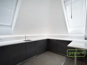 Pronájem bytu 2+kk, Praha - Vinohrady, Perucká, 79 m2