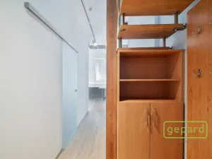Pronájem bytu 2+kk, Praha - Vinohrady, Perucká, 71 m2