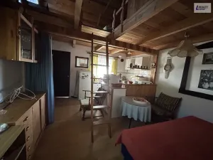 Prodej chaty, Příbram - Příbram III, 22 m2