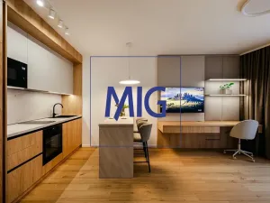 Pronájem bytu 1+kk, Brno, Bratislavská, 45 m2