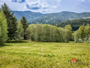 Prodej pozemku pro bydlení, Hamry, 5952 m2
