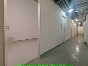 Pronájem bytu 1+kk, Praha - Žižkov, Ke kapslovně, 38 m2