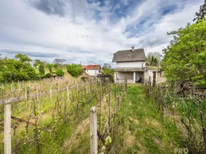 Prodej vinného sklepa, Skoronice, 144 m2