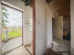 Prodej vinného sklepa, Skoronice, 144 m2