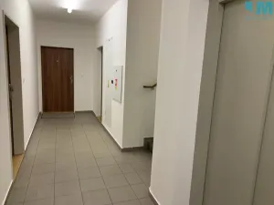 Pronájem bytu 1+kk, Brno, Rumiště, 38 m2