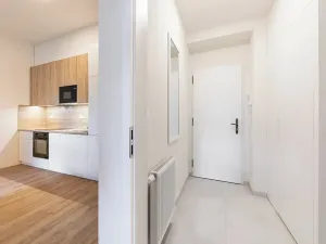 Pronájem bytu 1+kk, Praha - Bubeneč, Veletržní, 36 m2