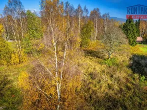Prodej pozemku pro bydlení, Nová Pec - Nové Chalupy, 58680 m2