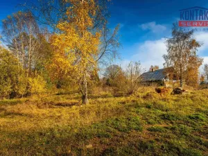 Prodej pozemku pro bydlení, Nová Pec - Nové Chalupy, 58680 m2