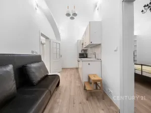 Prodej bytu 1+1, Praha - Nové Město, Truhlářská, 38 m2