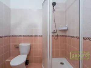 Prodej bytu 1+kk, Příbram, Gen. R. Tesaříka, 39 m2