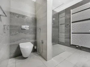 Pronájem bytu 2+kk, Plzeň - Severní Předměstí, Bolevecká, 58 m2
