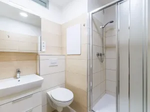 Pronájem bytu 2+kk, České Budějovice, Puklicova, 39 m2