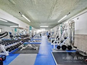 Prodej komerční nemovitosti, Soběslav, 514 m2